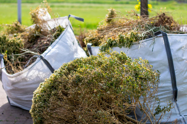 Best Yard Waste Removal  in Clinton, NC